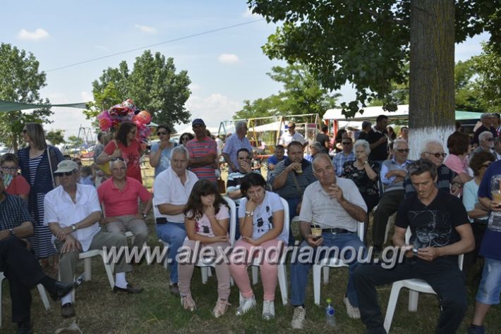 alexandriamou.gr_trikala28.5.2018429